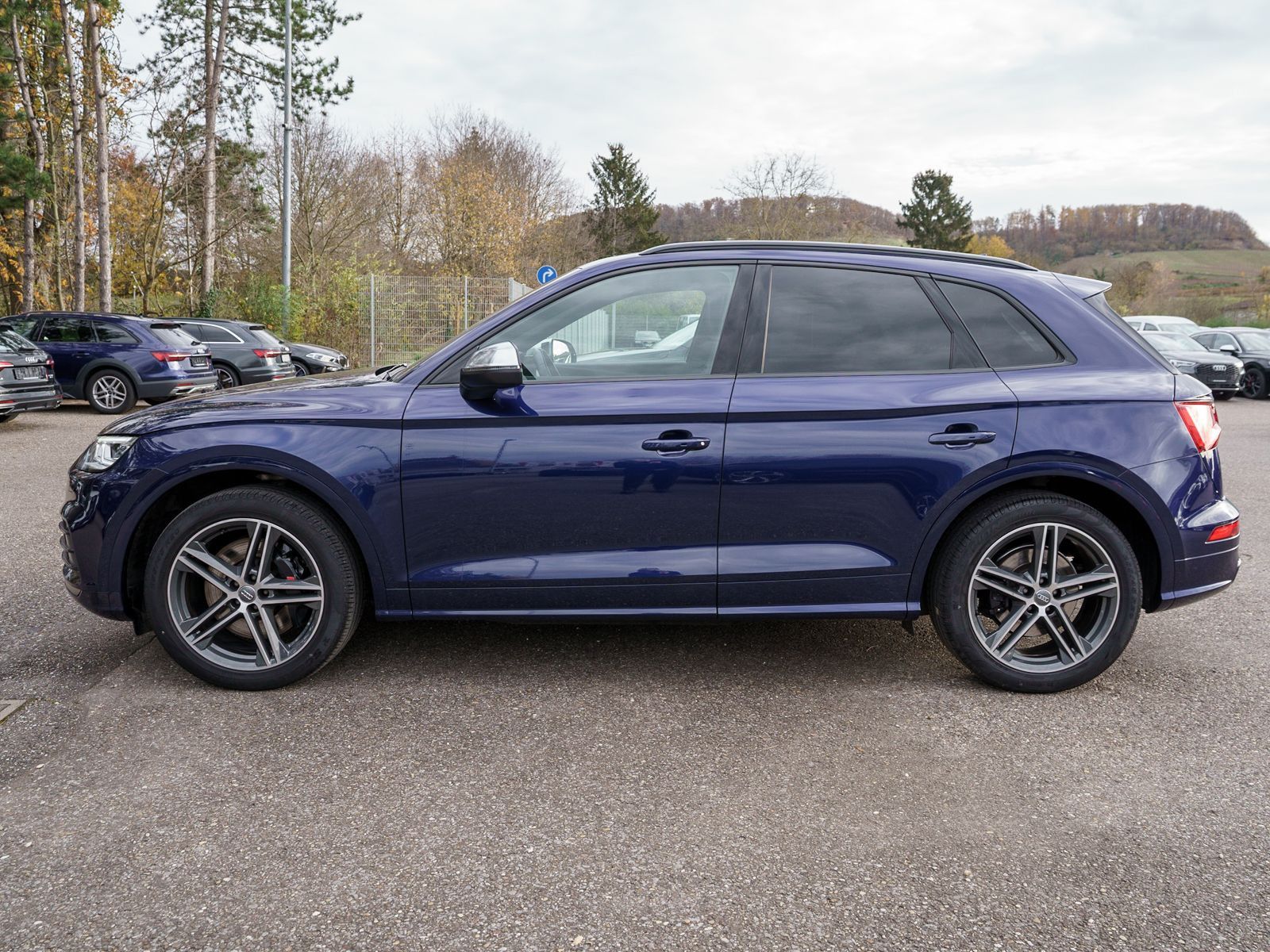 Fahrzeugabbildung Audi SQ5 3.0TDI tiptronic Navi Matrix Pano RFK VC