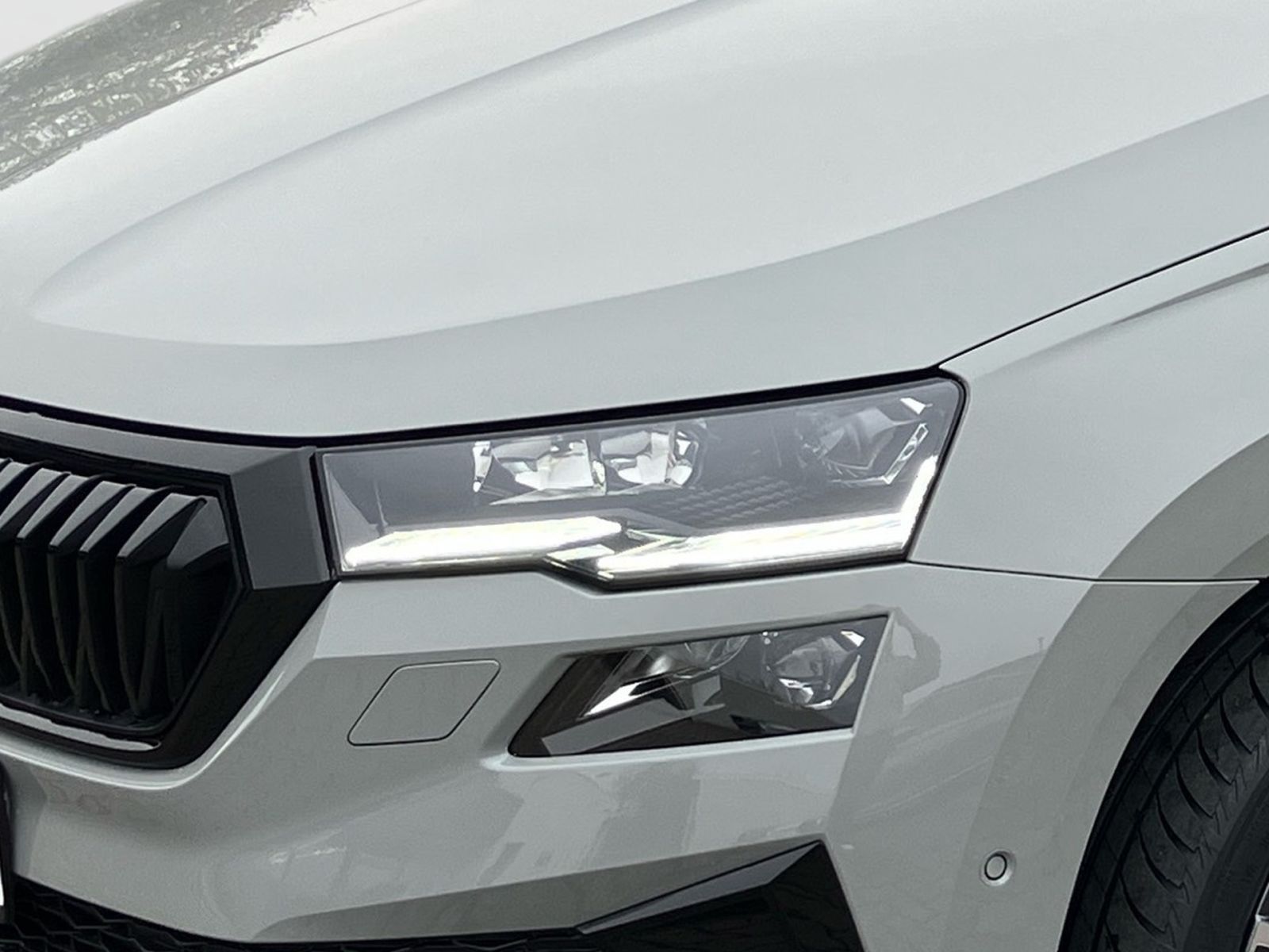 Fahrzeugabbildung SKODA Karoq Sportline 2,0TSI DSG 4x4 CANTON PANO AHK